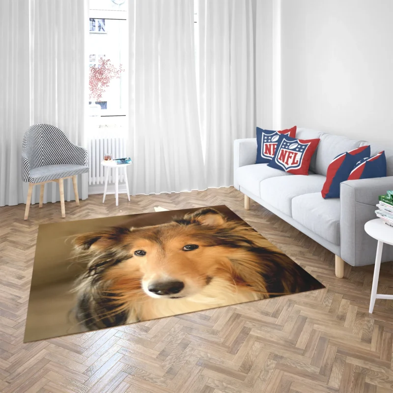 Collie Elegance Unleashed: Rough Collie Quartet Floor Rug 2