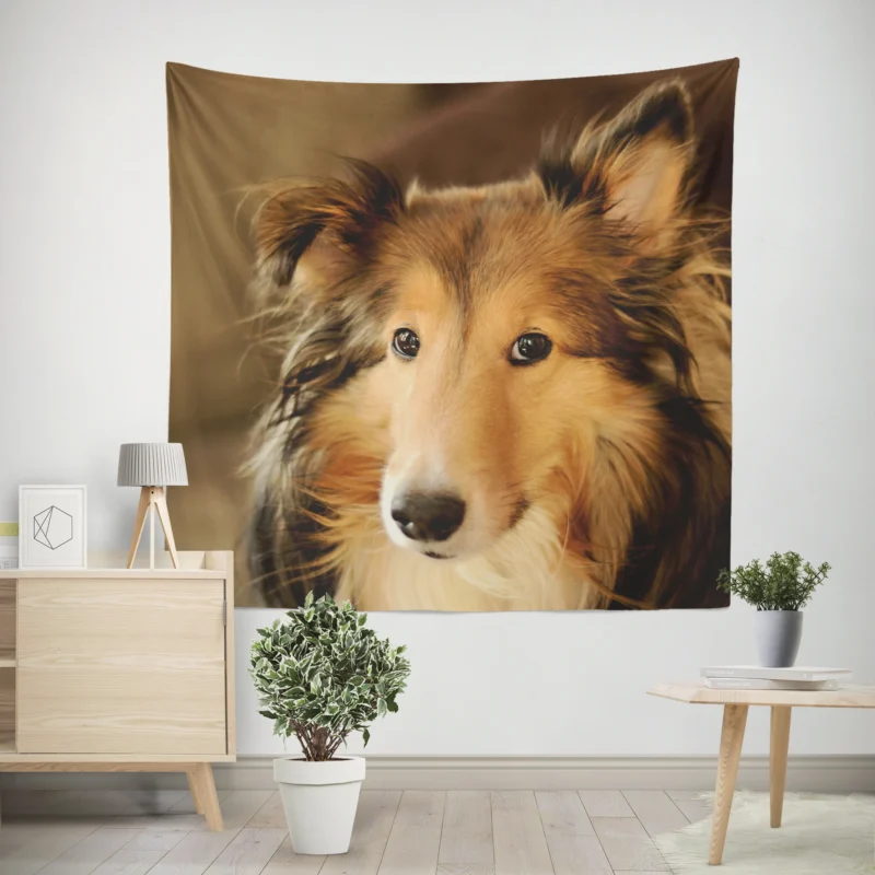 Collie Elegance Unleashed  Rough Collie Quartet Wall Tapestry