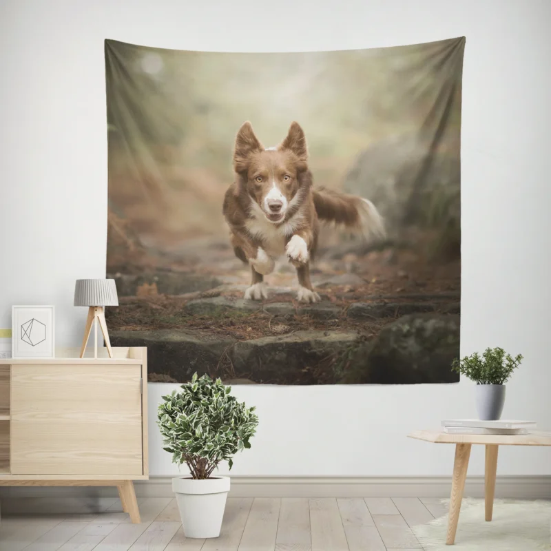 Collie Elegance in Depth Of Field  Border Collie Wall Tapestry