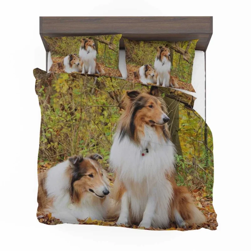 Collie Majesty: Rough Collie Quartet Bedding Set 1