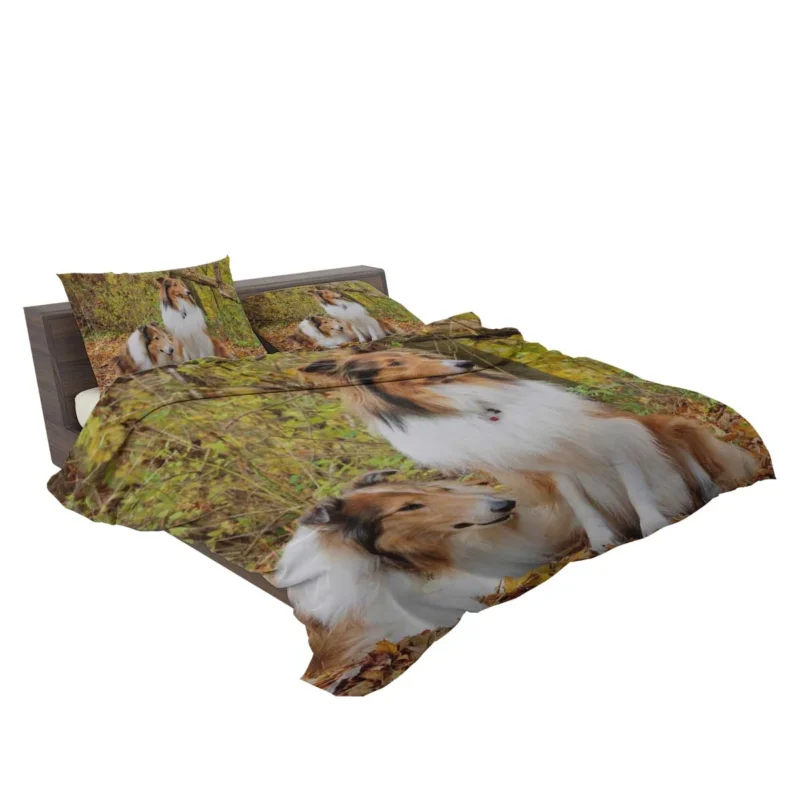 Collie Majesty: Rough Collie Quartet Bedding Set 2