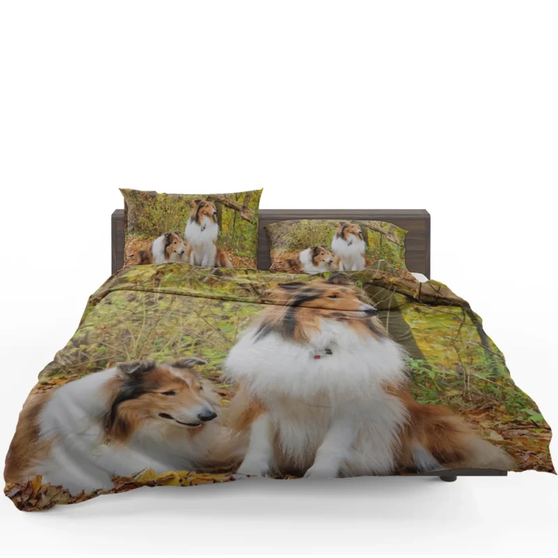 Collie Majesty: Rough Collie Quartet Bedding Set