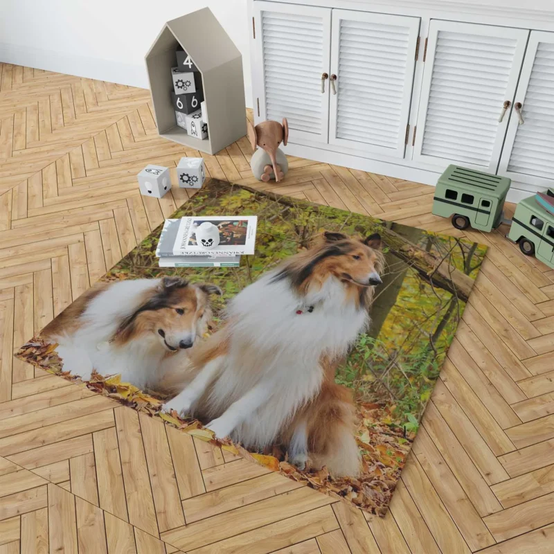 Collie Majesty: Rough Collie Quartet Floor Rug 1