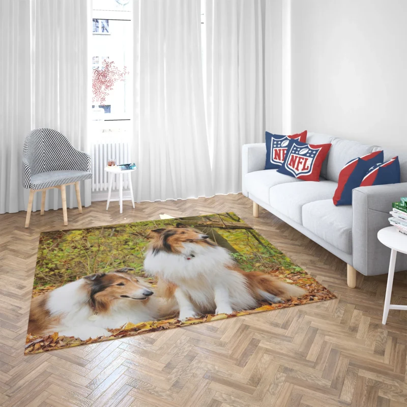 Collie Majesty: Rough Collie Quartet Floor Rug 2