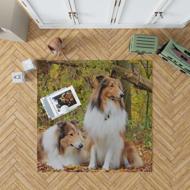 Collie Majesty: Rough Collie Quartet Floor Rug