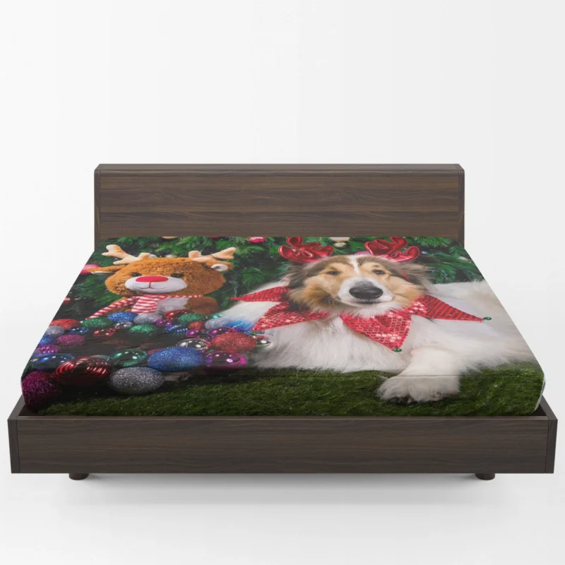 Collie Muzzle Moments: Rough Collie Quartet Fitted Sheet 1