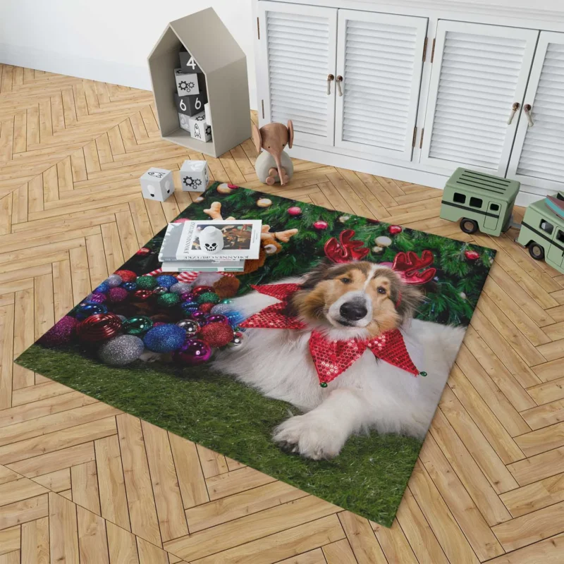 Collie Muzzle Moments: Rough Collie Quartet Floor Rug 1