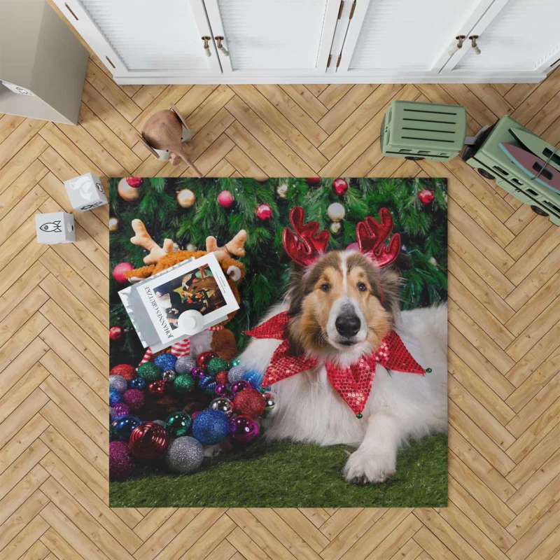 Collie Muzzle Moments: Rough Collie Quartet Floor Rug