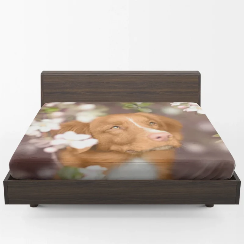 Colorful Flower Quartet: Nova Scotia Duck Tolling Retriever Fitted Sheet 1