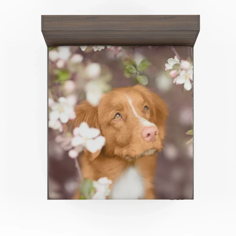 Colorful Flower Quartet: Nova Scotia Duck Tolling Retriever Fitted Sheet