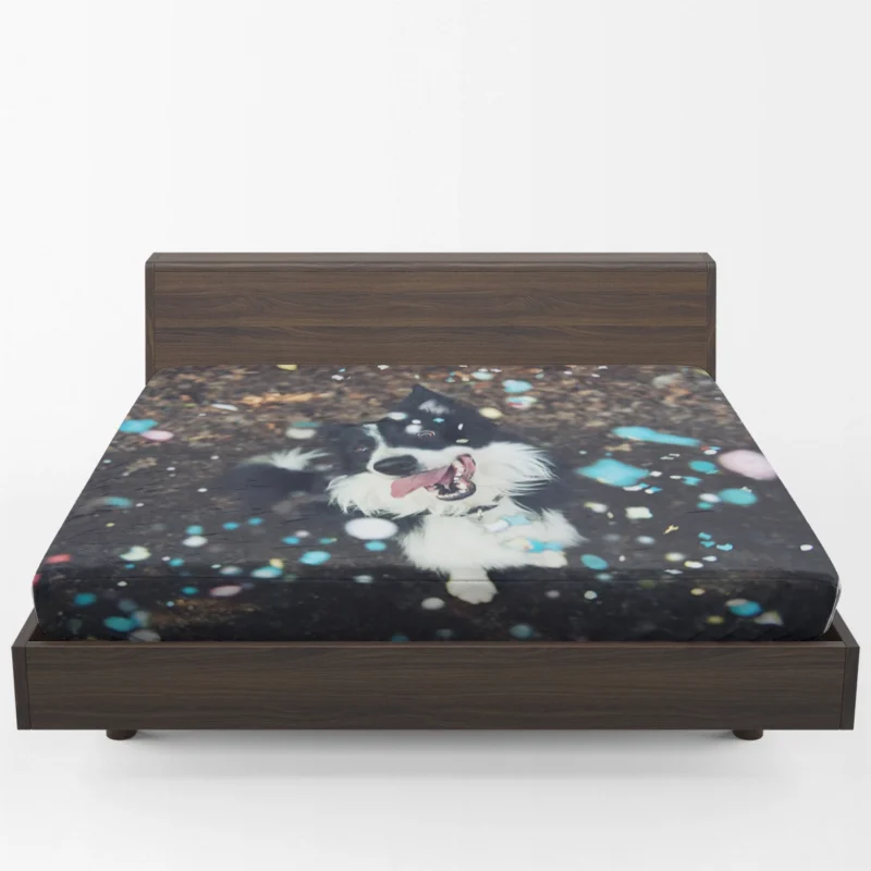 Confetti Fun with Border Collie Muzzle Fitted Sheet 1