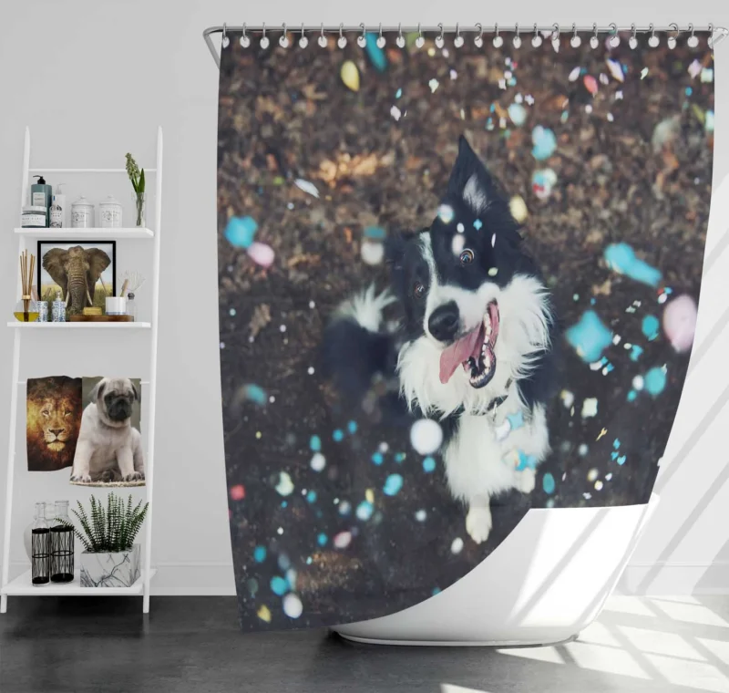 Confetti Fun with Border Collie Muzzle Shower Curtain