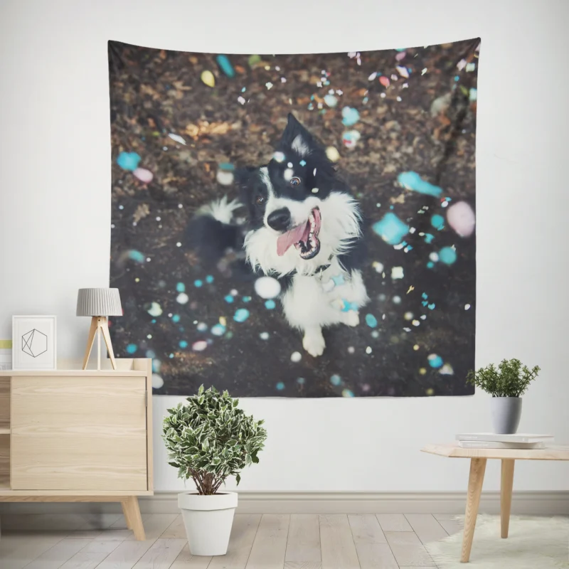 Confetti Fun with Border Collie Muzzle Wall Tapestry