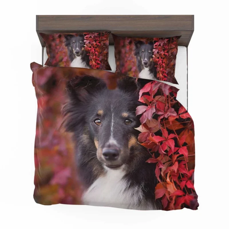 Cooling Off: Rottweiler Quartet Bedding Set 1