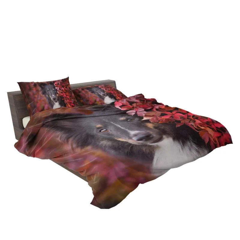 Cooling Off: Rottweiler Quartet Bedding Set 2