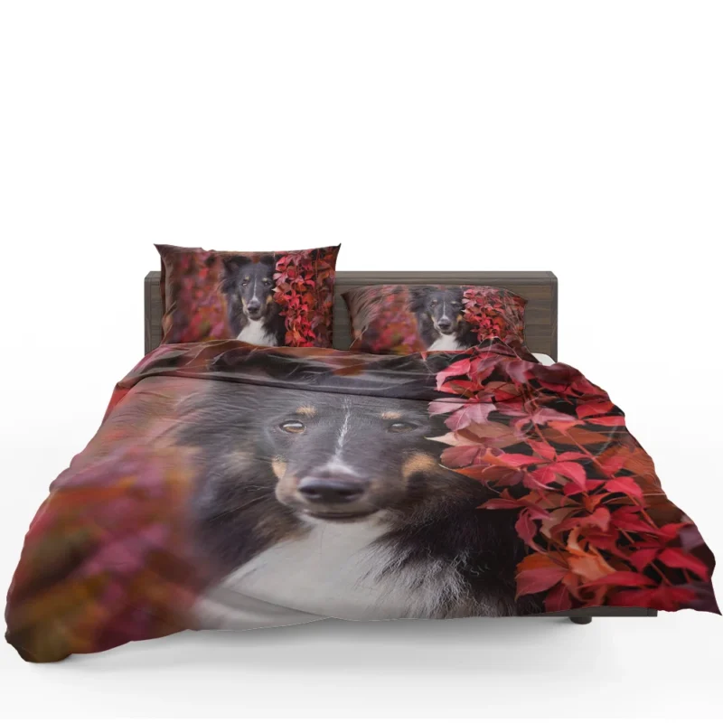 Cooling Off: Rottweiler Quartet Bedding Set