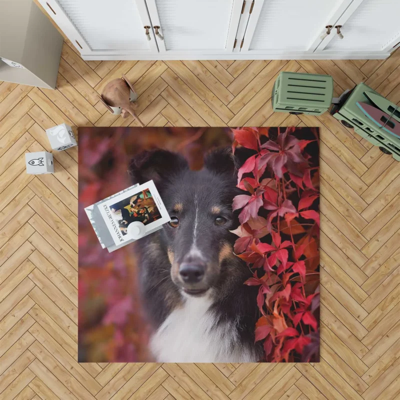 Cooling Off: Rottweiler Quartet Floor Rug