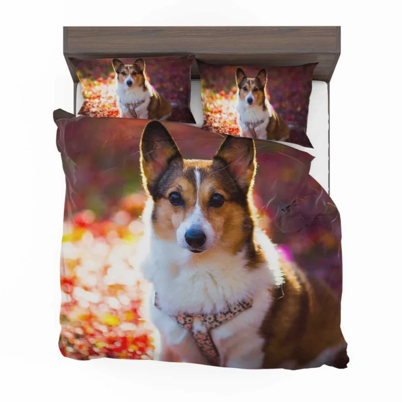 Corgi Cuteness: Fourfold Quartet Bedding Set 1