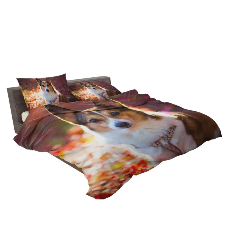 Corgi Cuteness: Fourfold Quartet Bedding Set 2