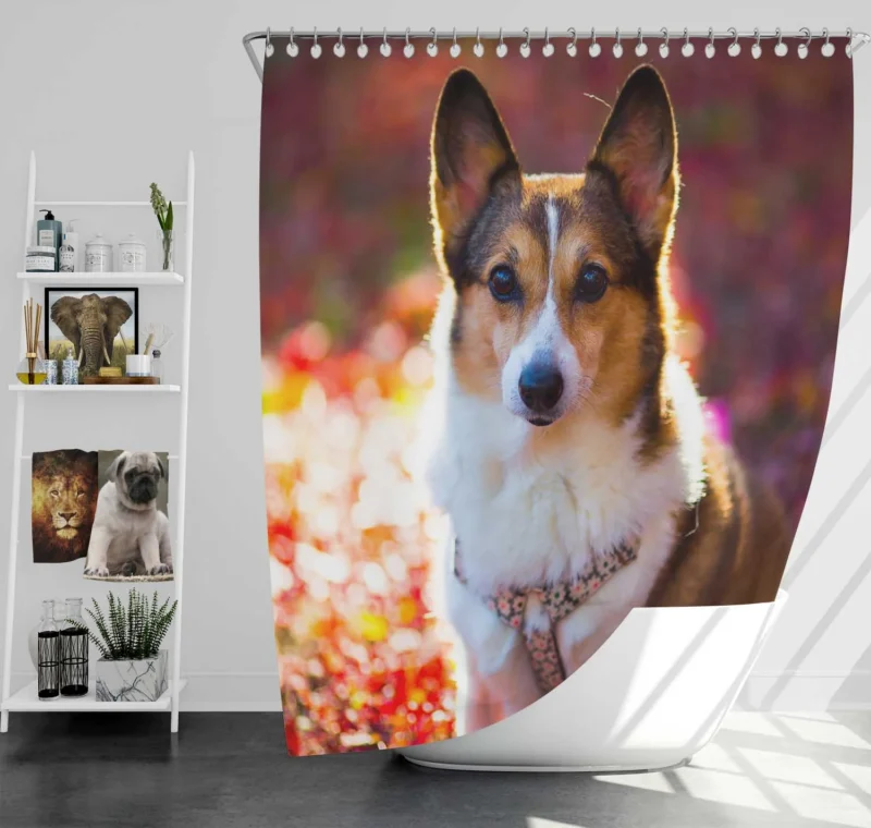 Corgi Cuteness: Fourfold Quartet Shower Curtain