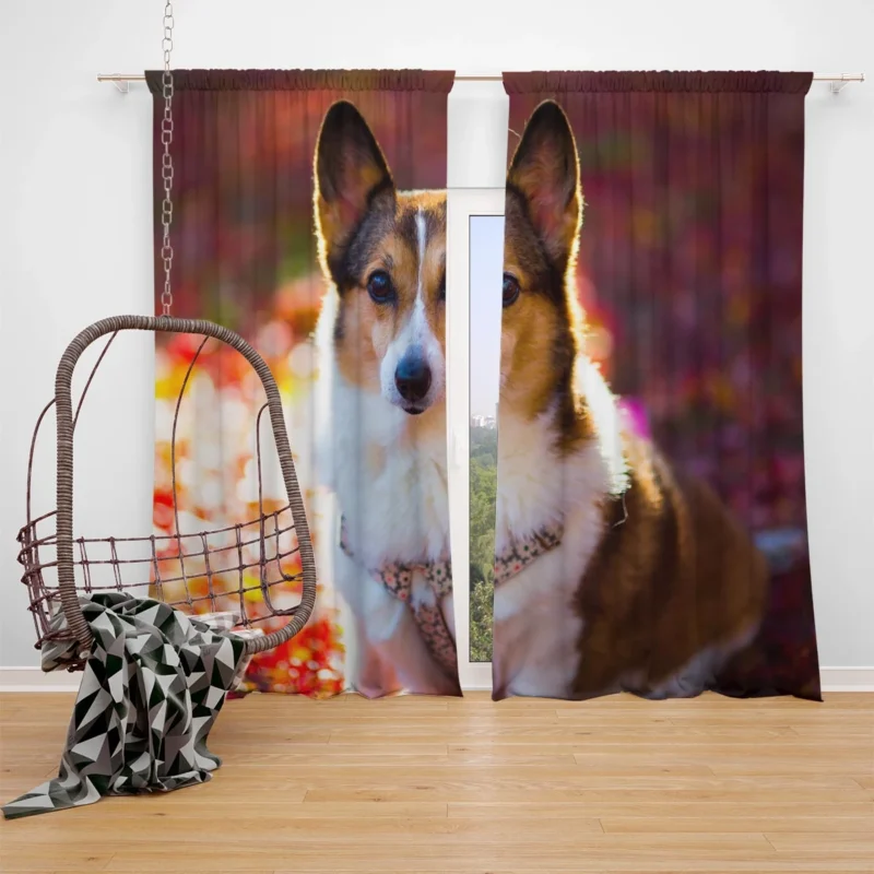 Corgi Cuteness: Fourfold Quartet Window Curtain