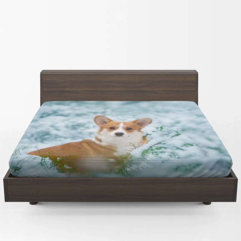 Corgi Frolicking in Playful Snow Quartet Fitted Sheet 1