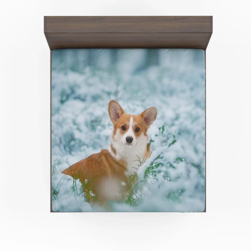 Corgi Frolicking in Playful Snow Quartet Fitted Sheet