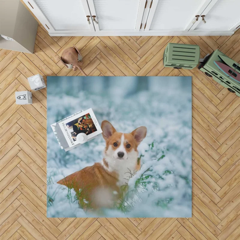 Corgi Frolicking in Playful Snow Quartet Floor Rug