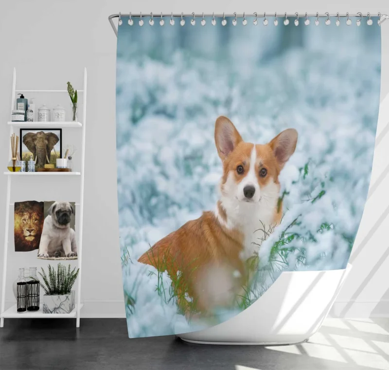 Corgi Frolicking in Playful Snow Quartet Shower Curtain