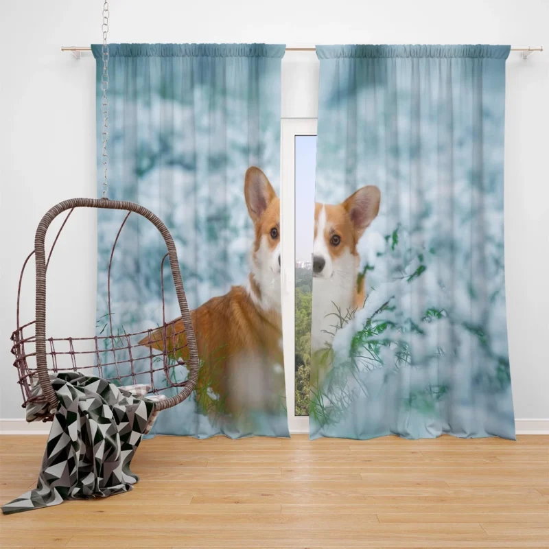 Corgi Frolicking in Playful Snow Quartet Window Curtain