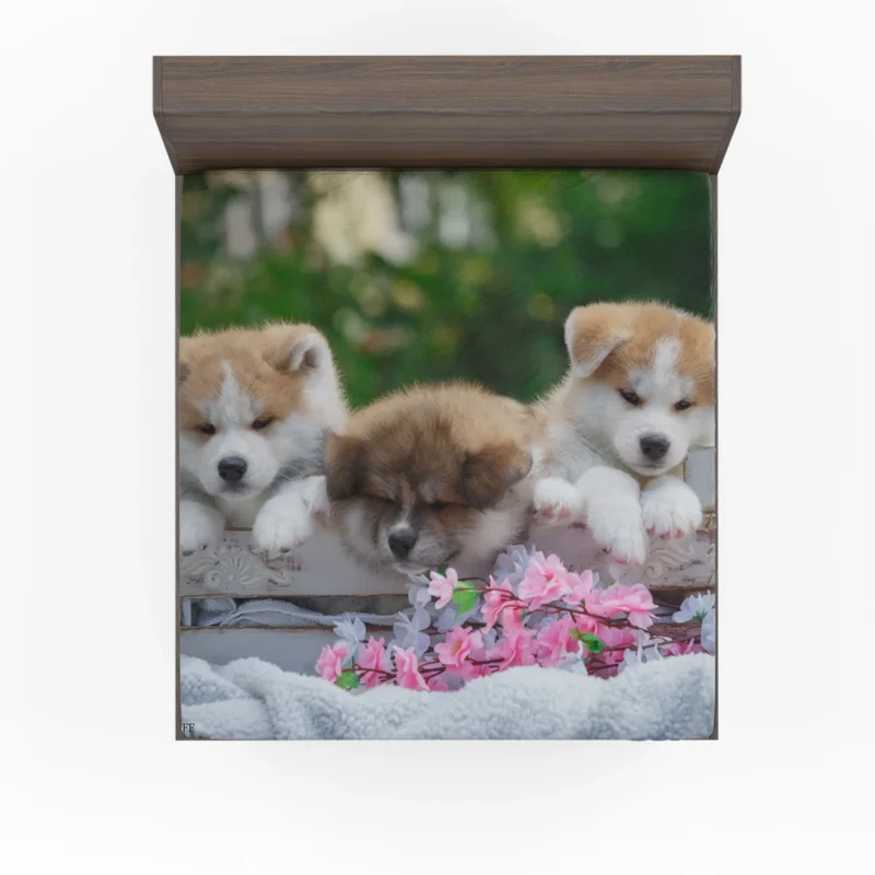 Cozy Bauble Nestled Puppies: Akita Quartet Fitted Sheet