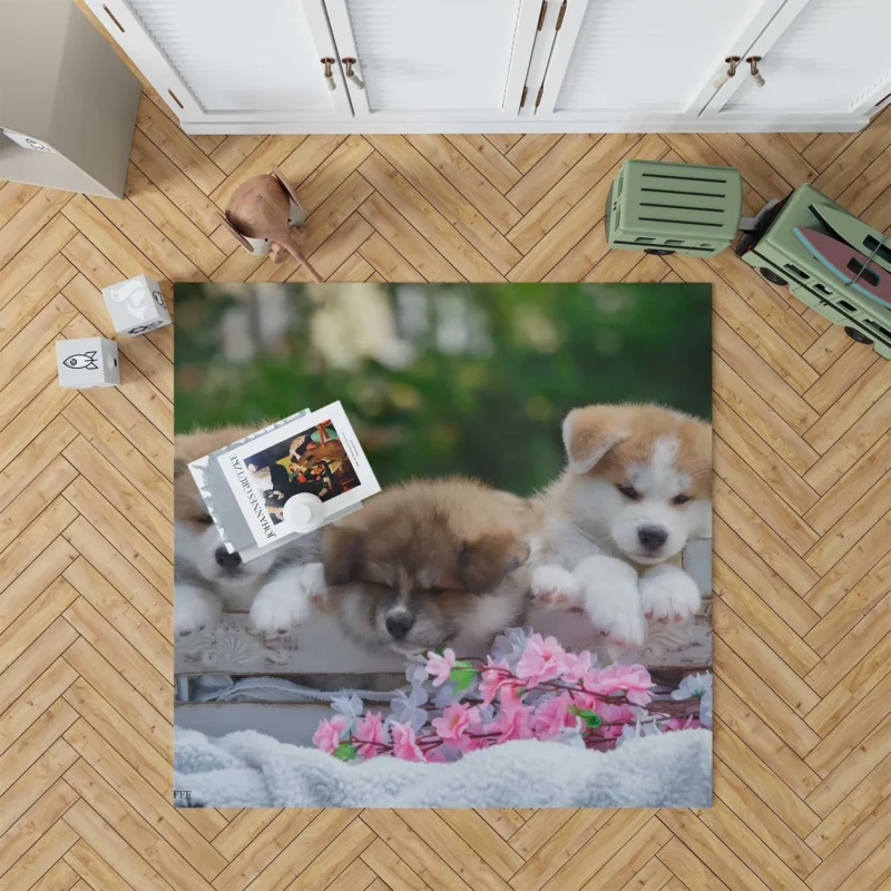 Cozy Bauble Nestled Puppies: Akita Quartet Floor Rug