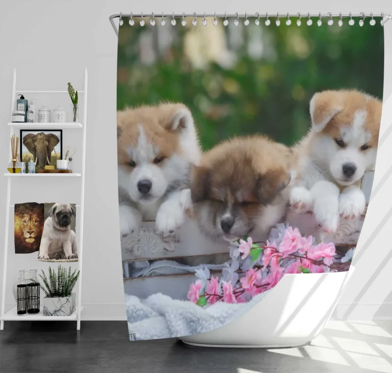 Cozy Bauble Nestled Puppies: Akita Quartet Shower Curtain