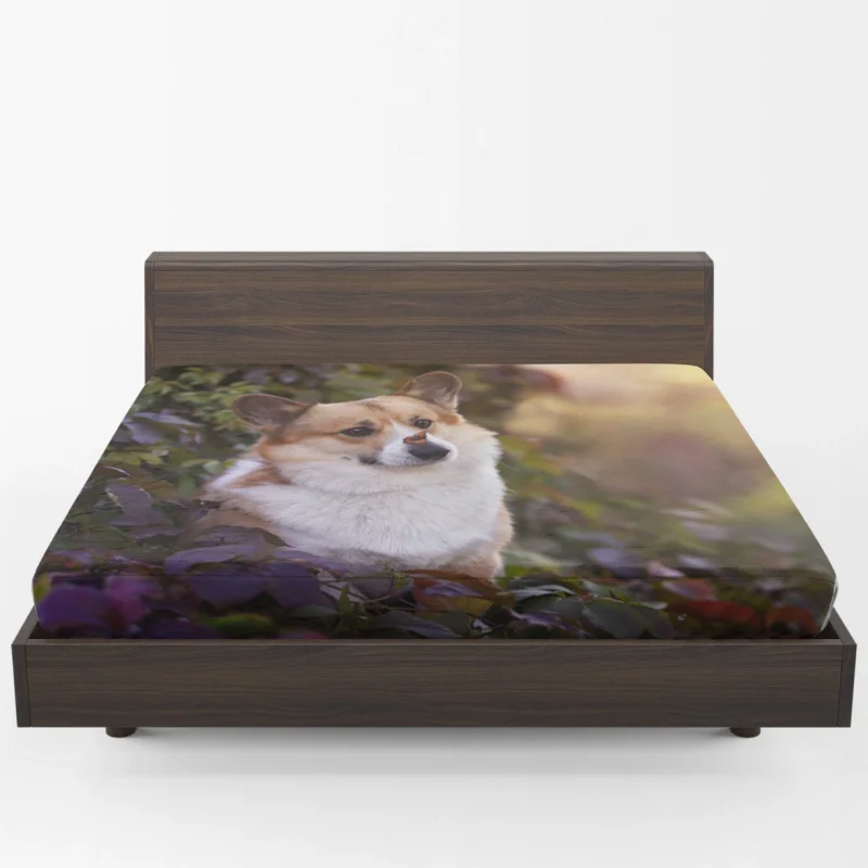 Curious Corgi: Nose Discovery Fitted Sheet 1