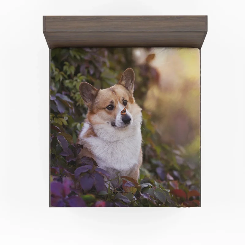 Curious Corgi: Nose Discovery Fitted Sheet