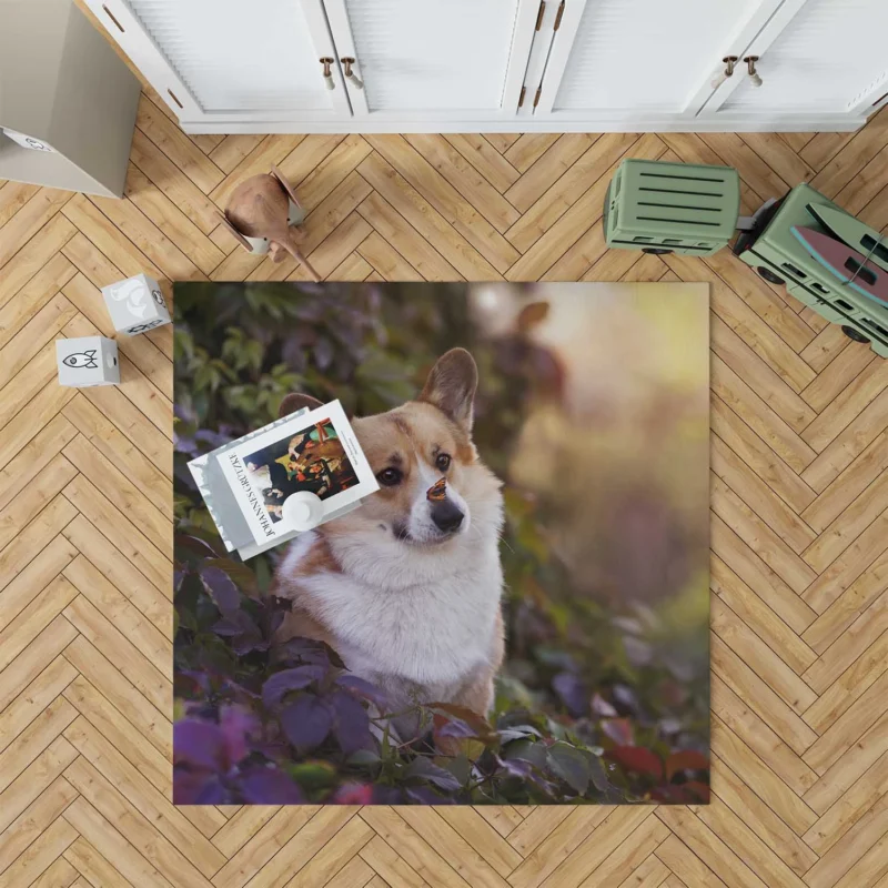 Curious Corgi: Nose Discovery Floor Rug