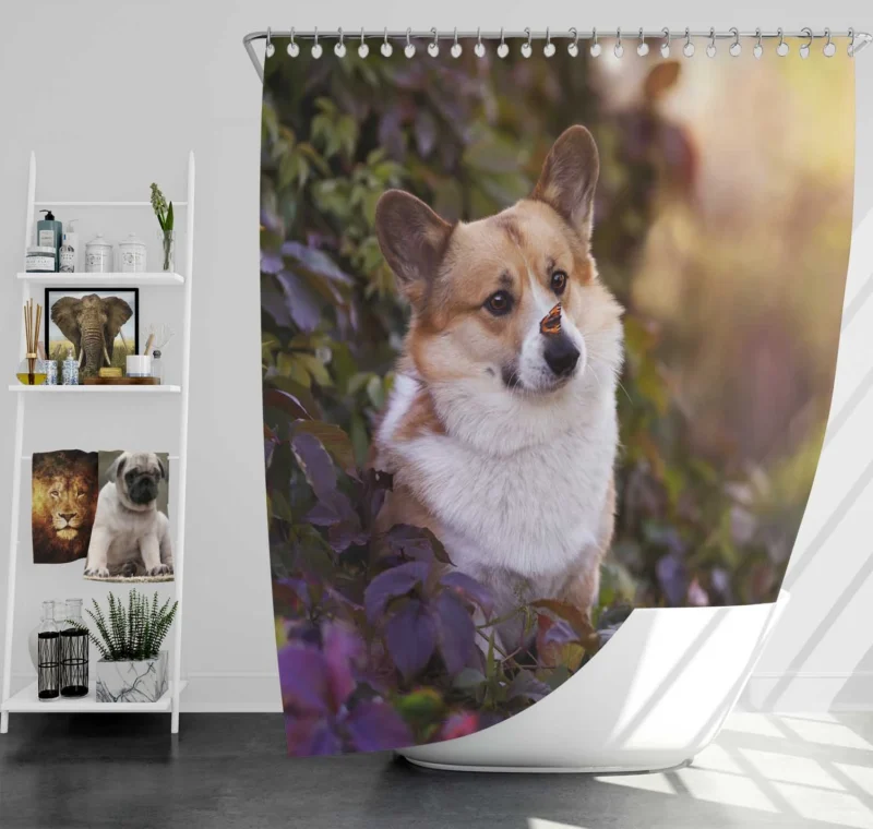 Curious Corgi: Nose Discovery Shower Curtain