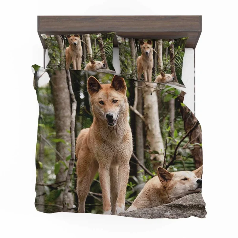 Cute Australian Dingoes in the Wild: Dingo Quartet Bedding Set 1