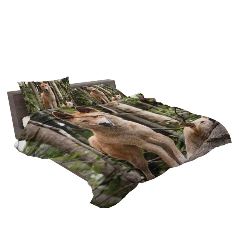 Cute Australian Dingoes in the Wild: Dingo Quartet Bedding Set 2