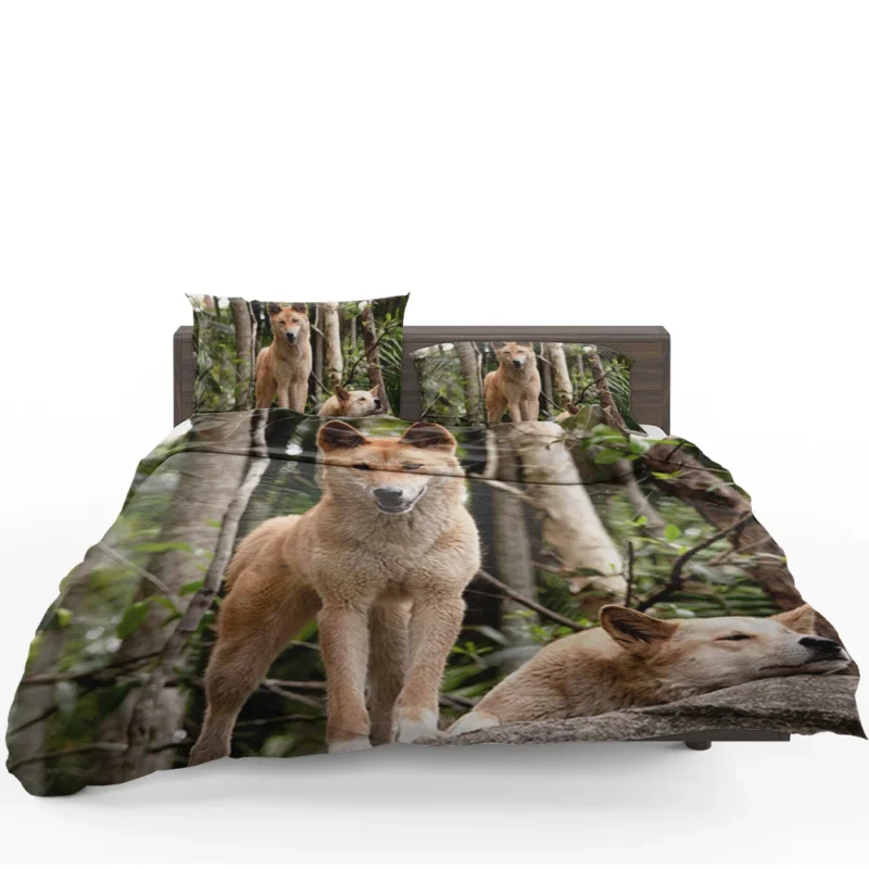 Cute Australian Dingoes in the Wild: Dingo Quartet Bedding Set