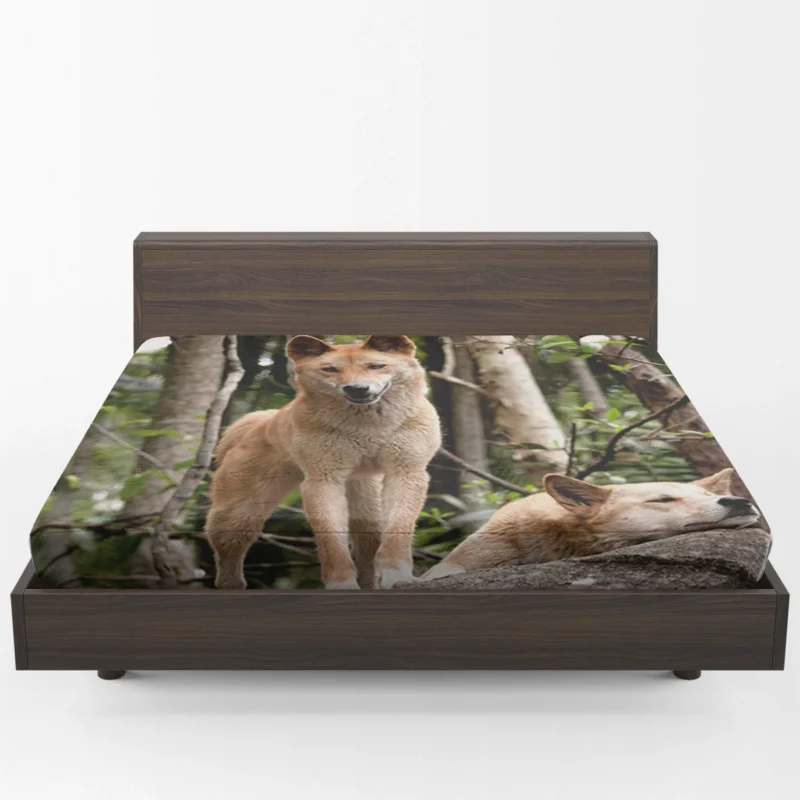 Cute Australian Dingoes in the Wild: Dingo Quartet Fitted Sheet 1