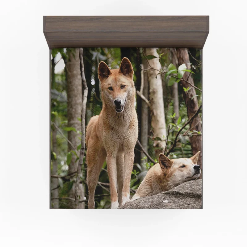 Cute Australian Dingoes in the Wild: Dingo Quartet Fitted Sheet