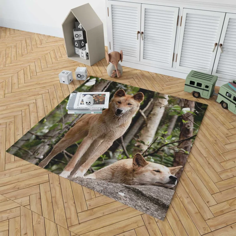 Cute Australian Dingoes in the Wild: Dingo Quartet Floor Rug 1