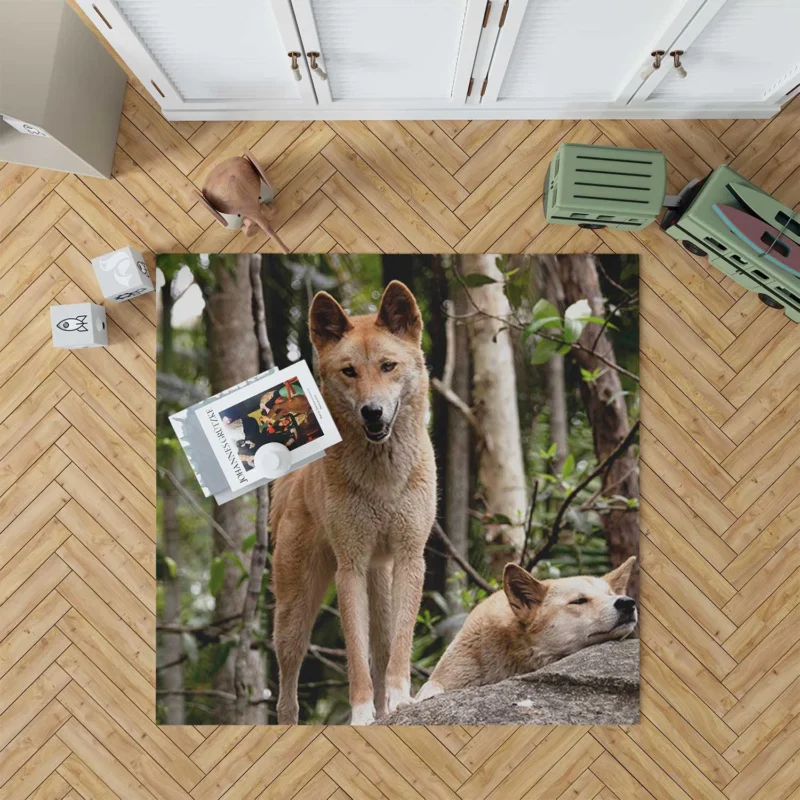 Cute Australian Dingoes in the Wild: Dingo Quartet Floor Rug