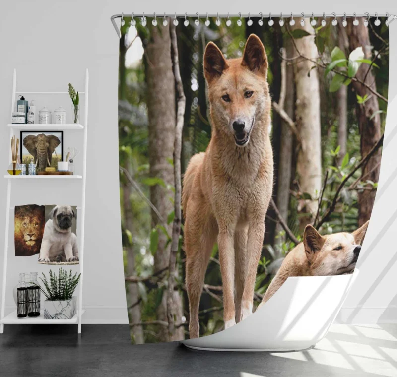 Cute Australian Dingoes in the Wild: Dingo Quartet Shower Curtain