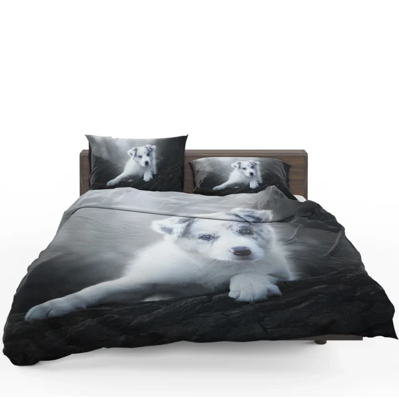 Cute Ba Puppies: Australian Shepherd Puppy Bedding Set