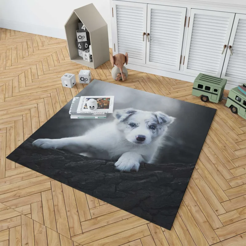 Cute Ba Puppies: Australian Shepherd Puppy Floor Rug 1