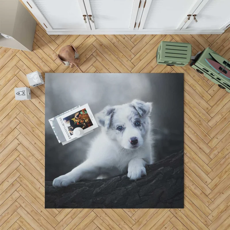 Cute Ba Puppies: Australian Shepherd Puppy Floor Rug