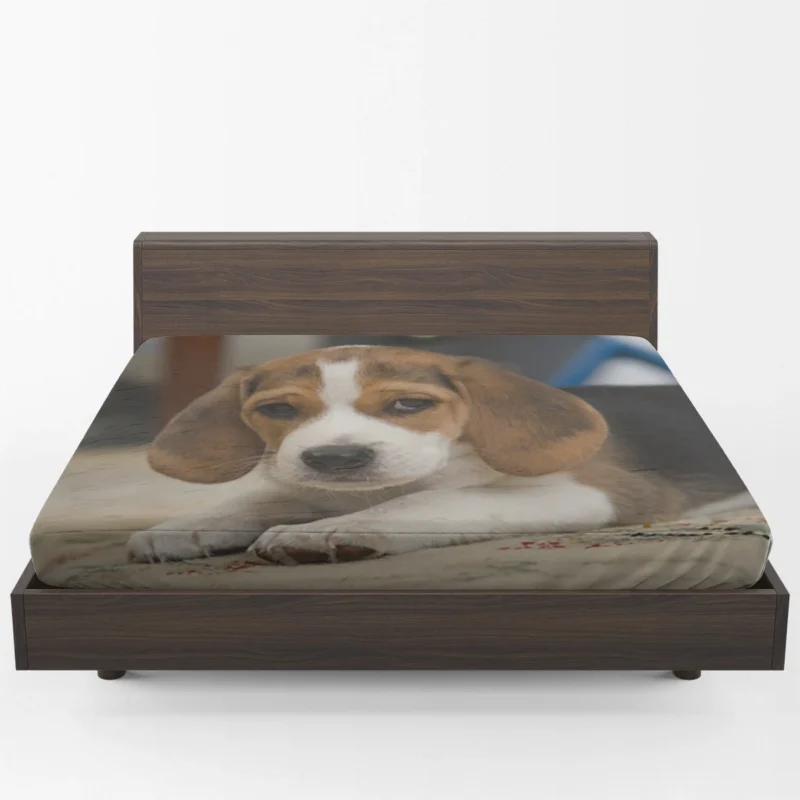 Cute Ba with Puppy Charm and Playfulness: Beagle Puppy Fitted Sheet 1