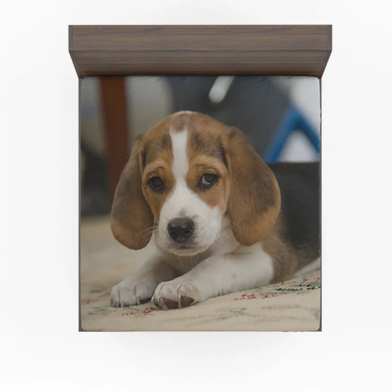 Cute Ba with Puppy Charm and Playfulness: Beagle Puppy Fitted Sheet